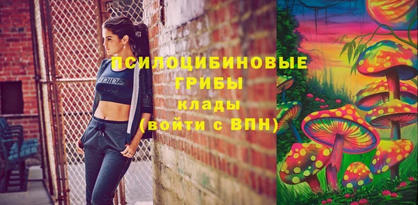шишки Горняк