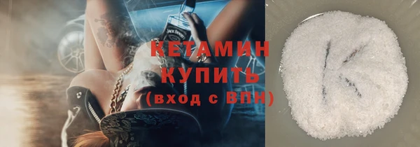 шишки Горняк
