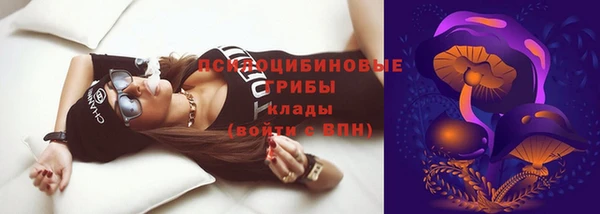 спиды Вязьма