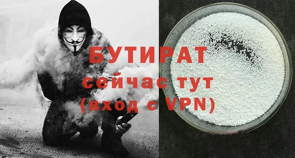 шишки Горняк