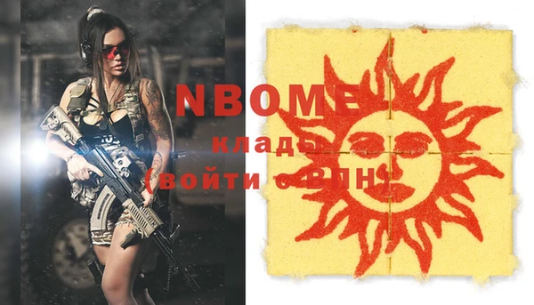 шишки Горняк