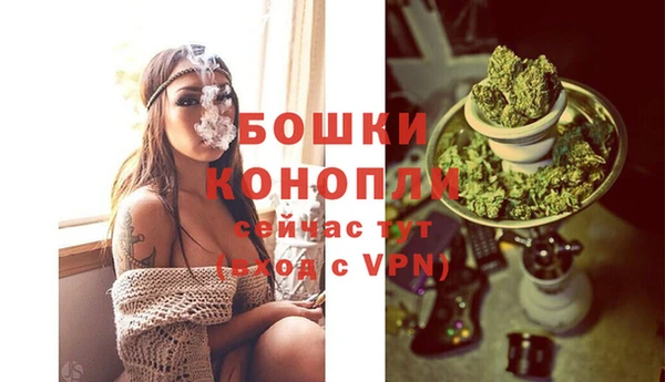 шишки Горняк