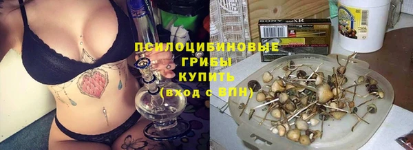 прущая мука Горнозаводск