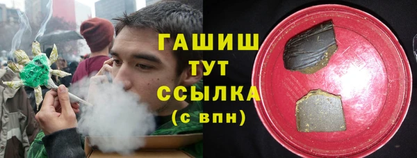 PSILOCYBIN Строитель